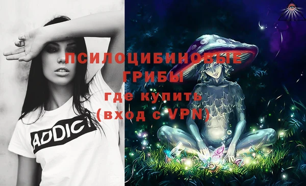 мдпв Остров