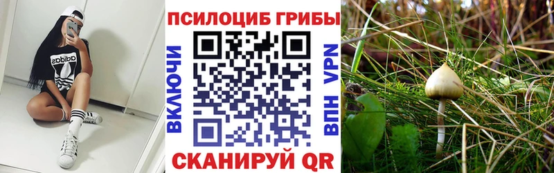 Псилоцибиновые грибы прущие грибы  закладка  omg как зайти  Саки 