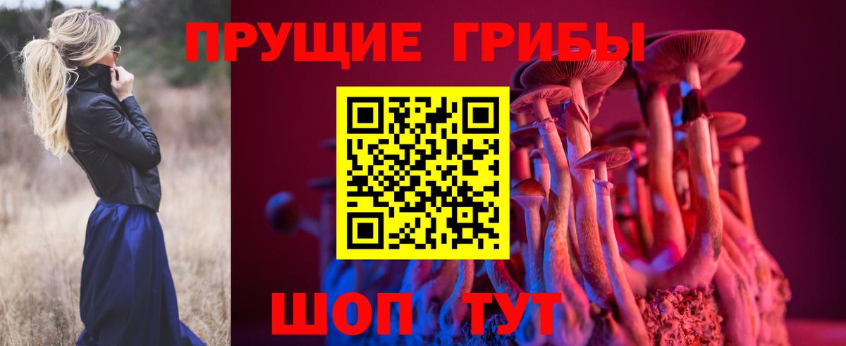 Саки  Псилоцибиновые грибы Psilocybine cubensis  Псилоцибиновые грибы MAGIC MUSHROOMS  цена   Вход с VPN 